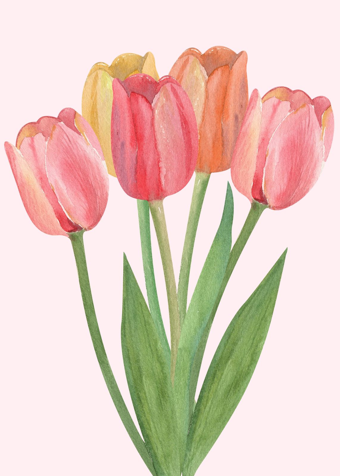 Watercolor Tulip Bouquet Wall Art