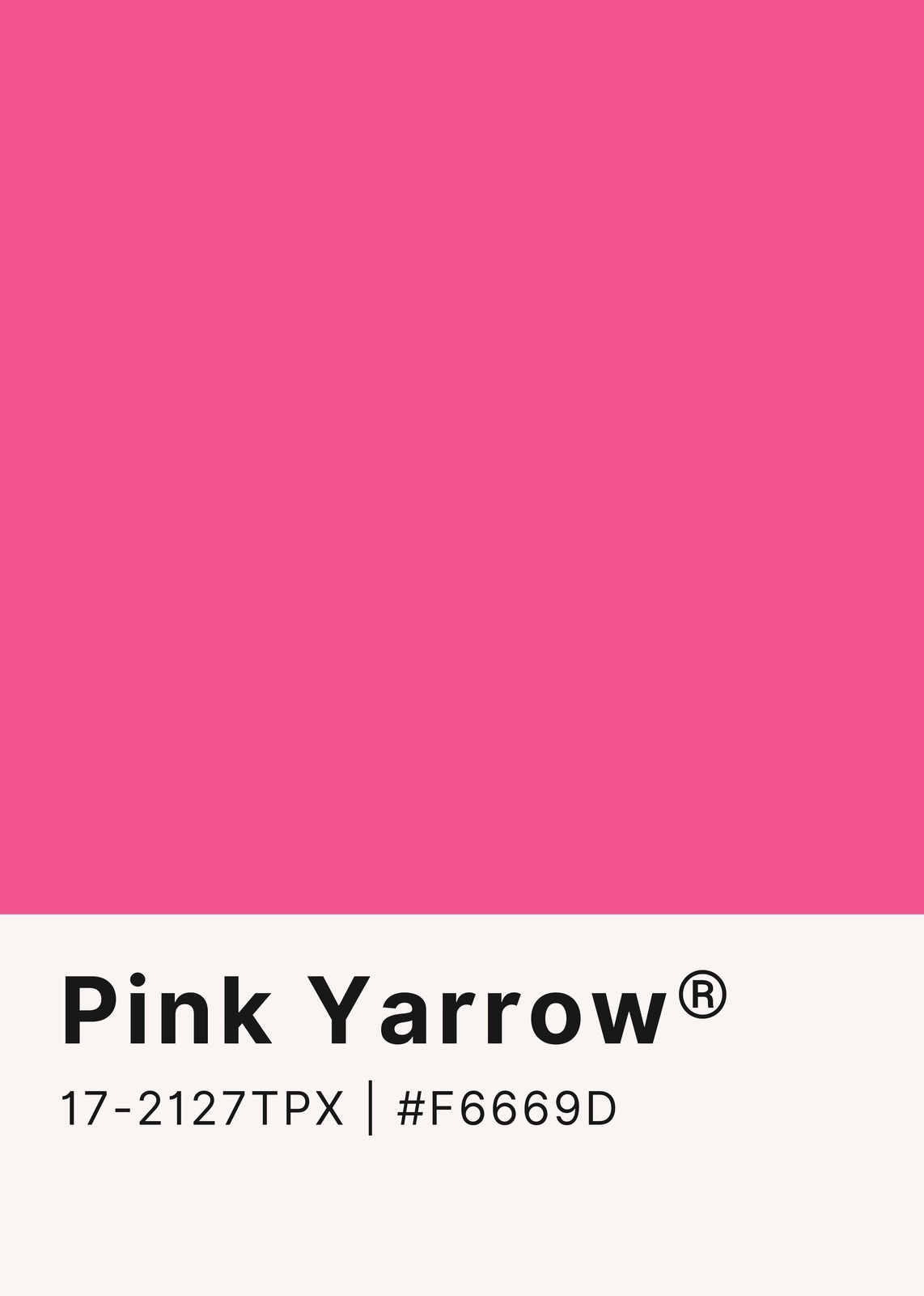 Vibrant Pink Yarrow Wall Art Wall Art