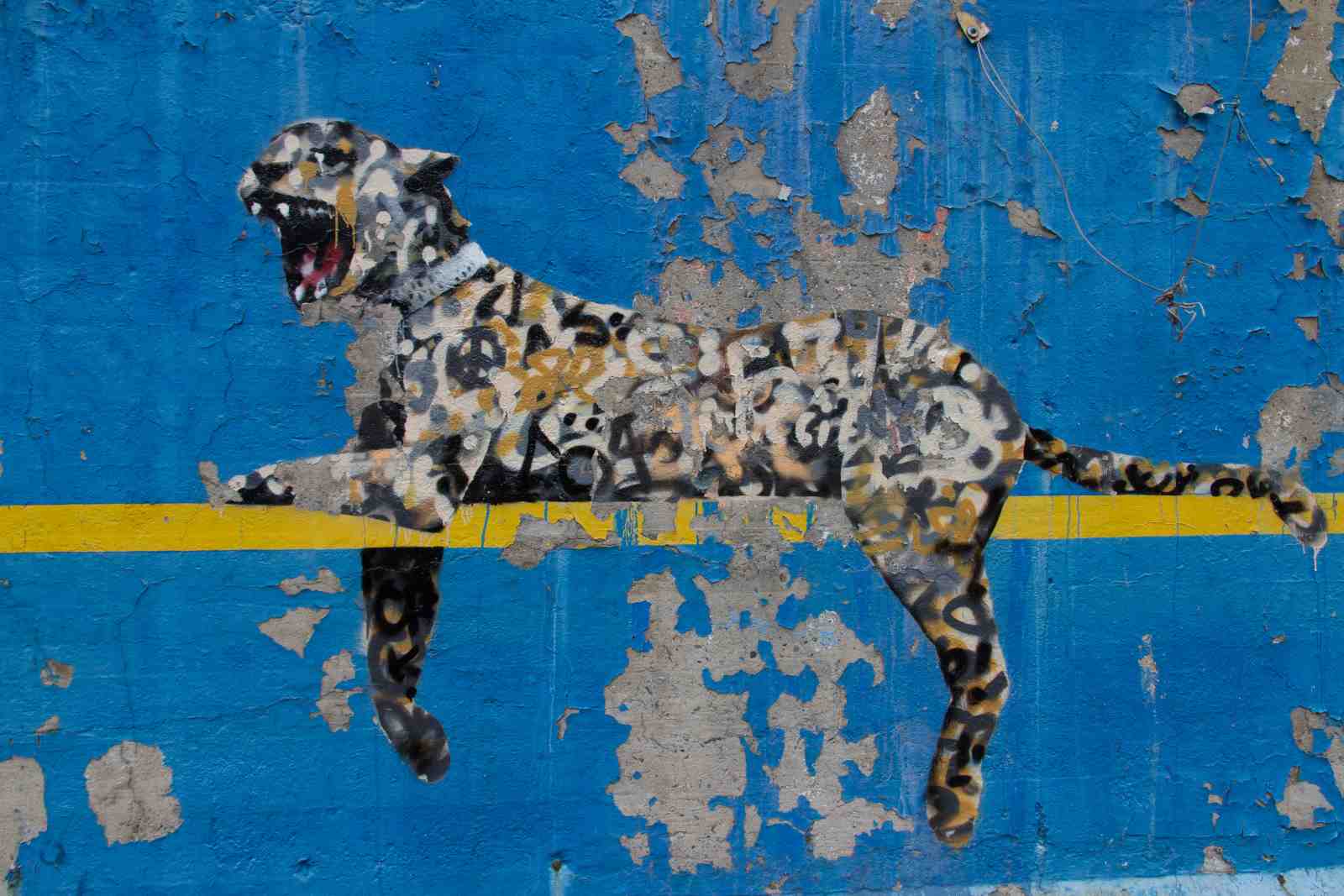 Graffiti Leopard Roar Wall Art