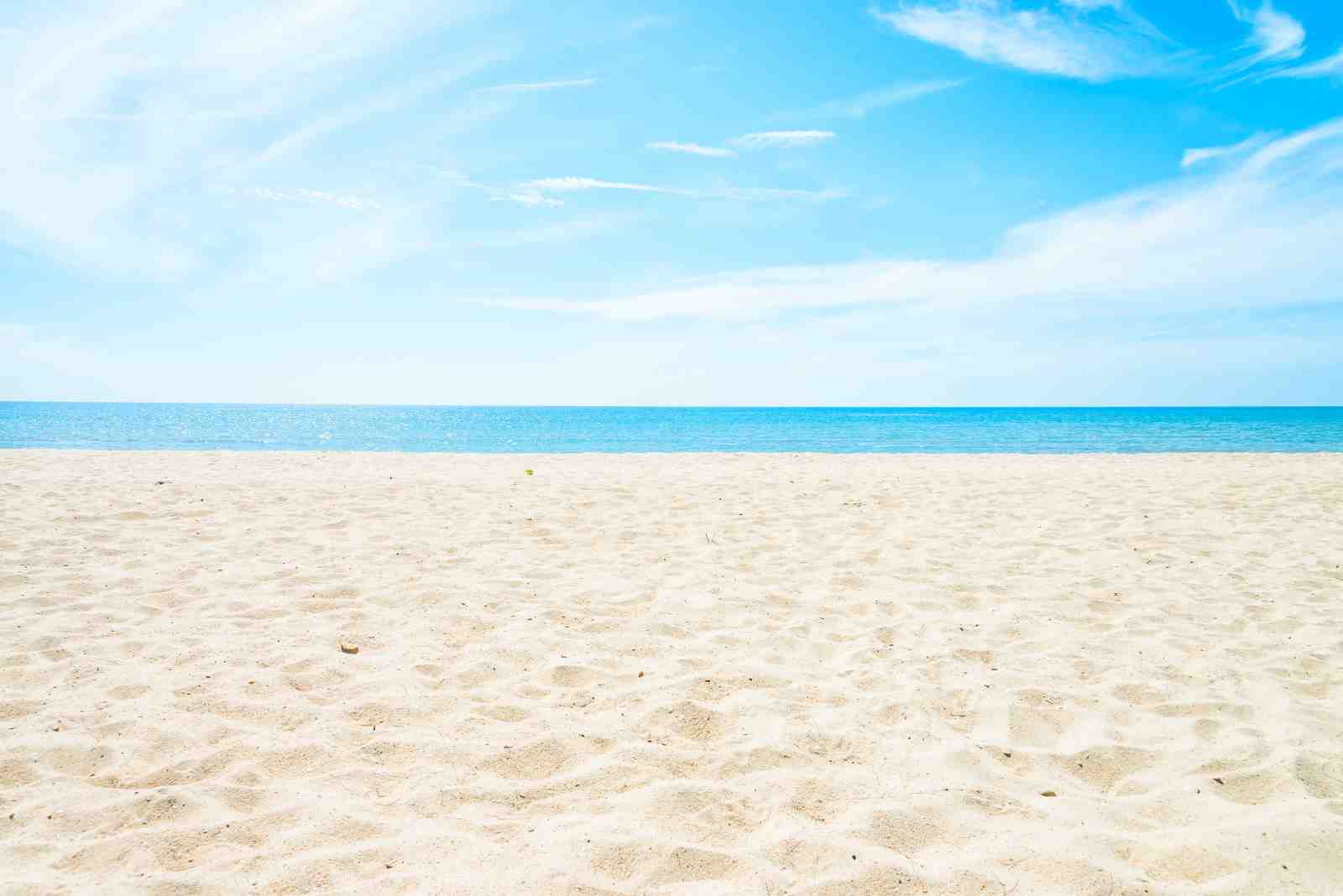 Serene Beach Horizon Wall Art