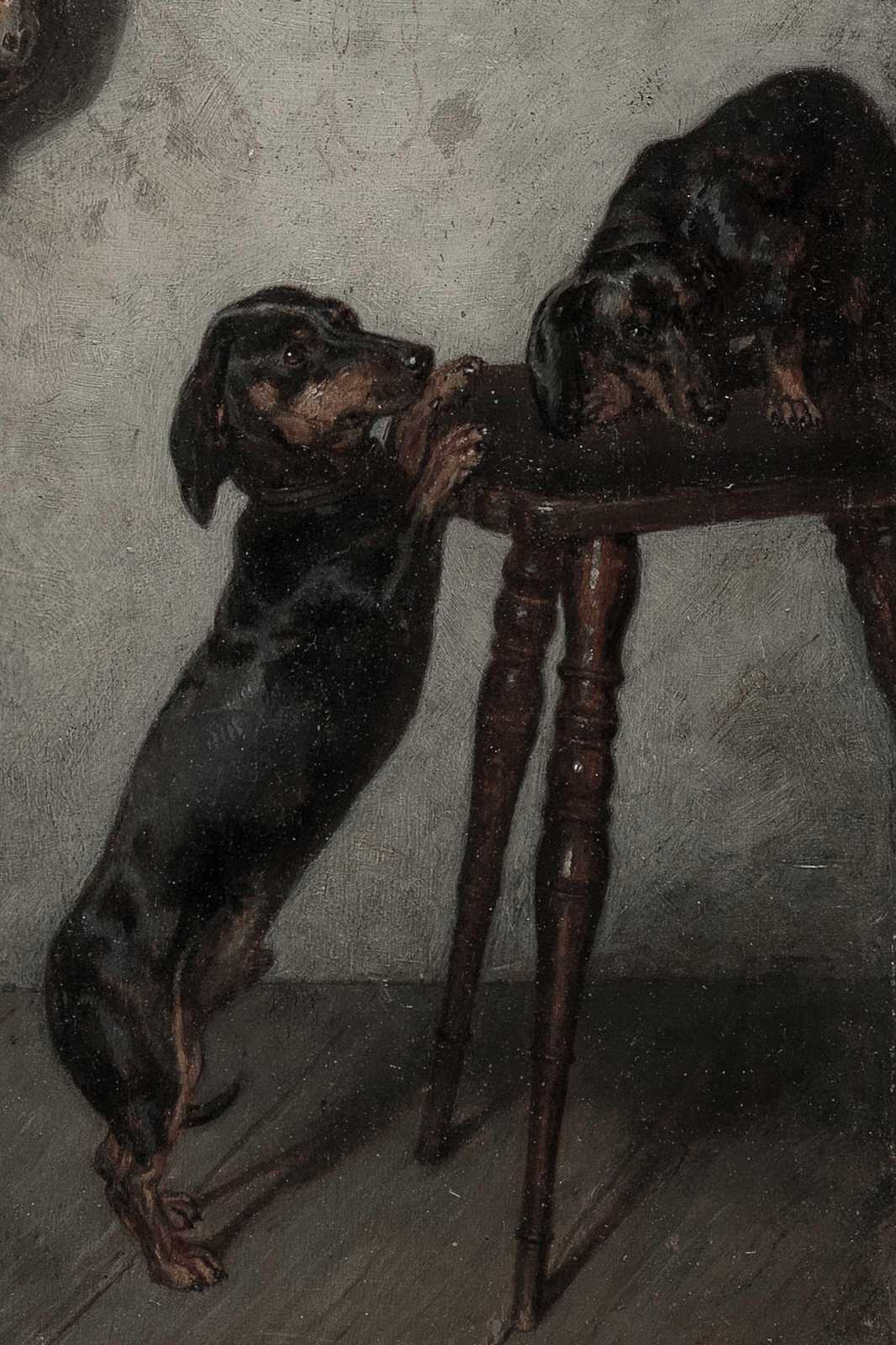 Curious Dachshunds Vintage Art Wall Art