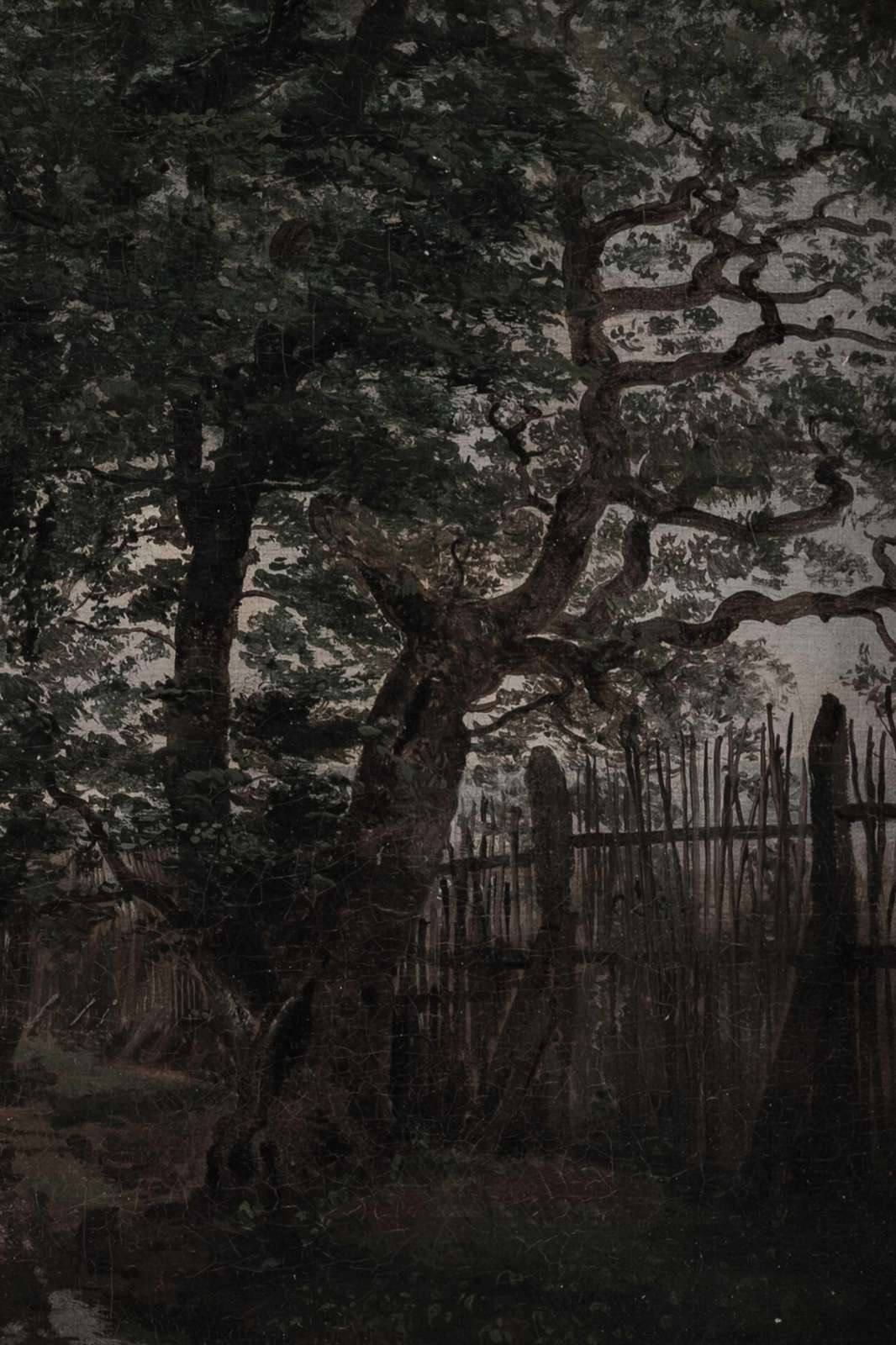 Gothic Forest Mystique Wall Art