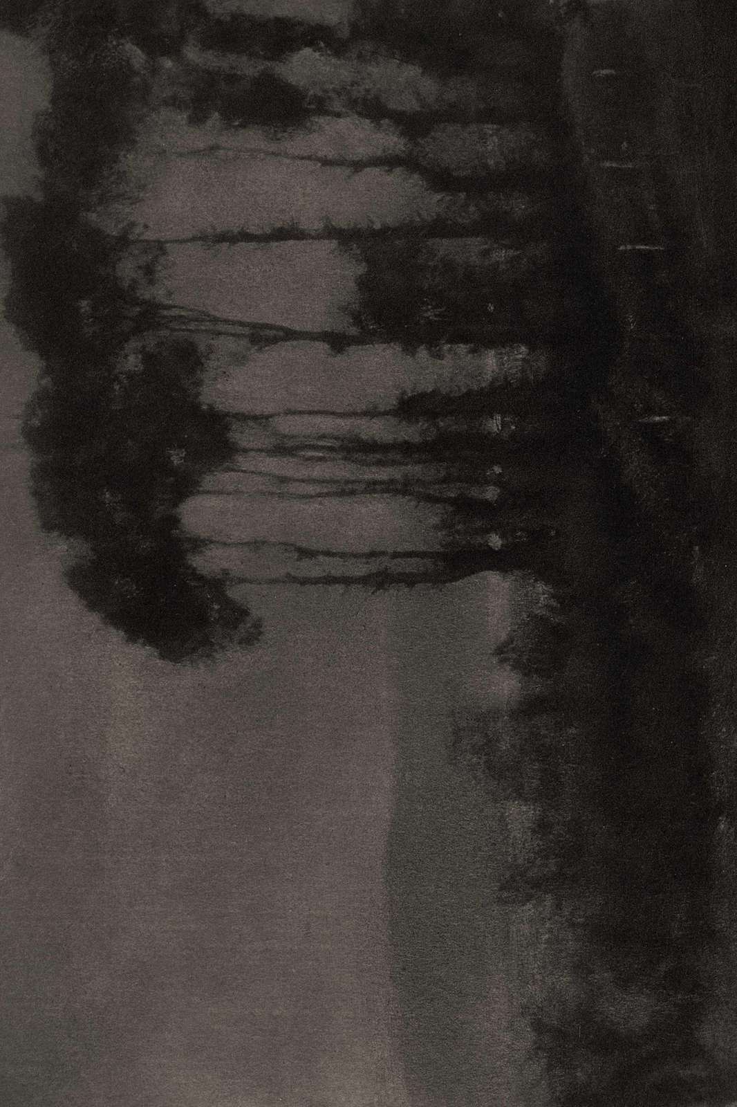 Abstract Forest Monochrome Wall Art