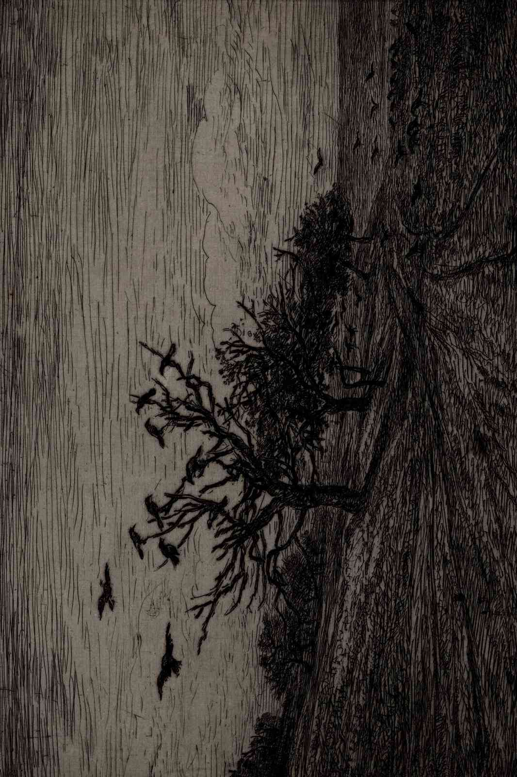 Moody Crow Tree & Forest Wall Art