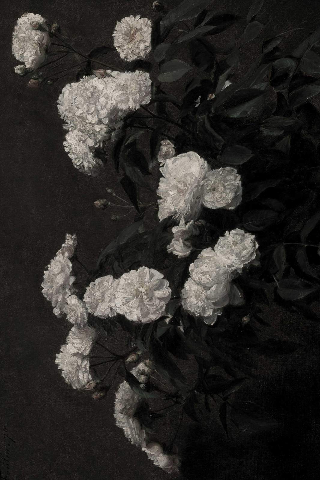 Vintage White Roses Botanical Art Wall Art