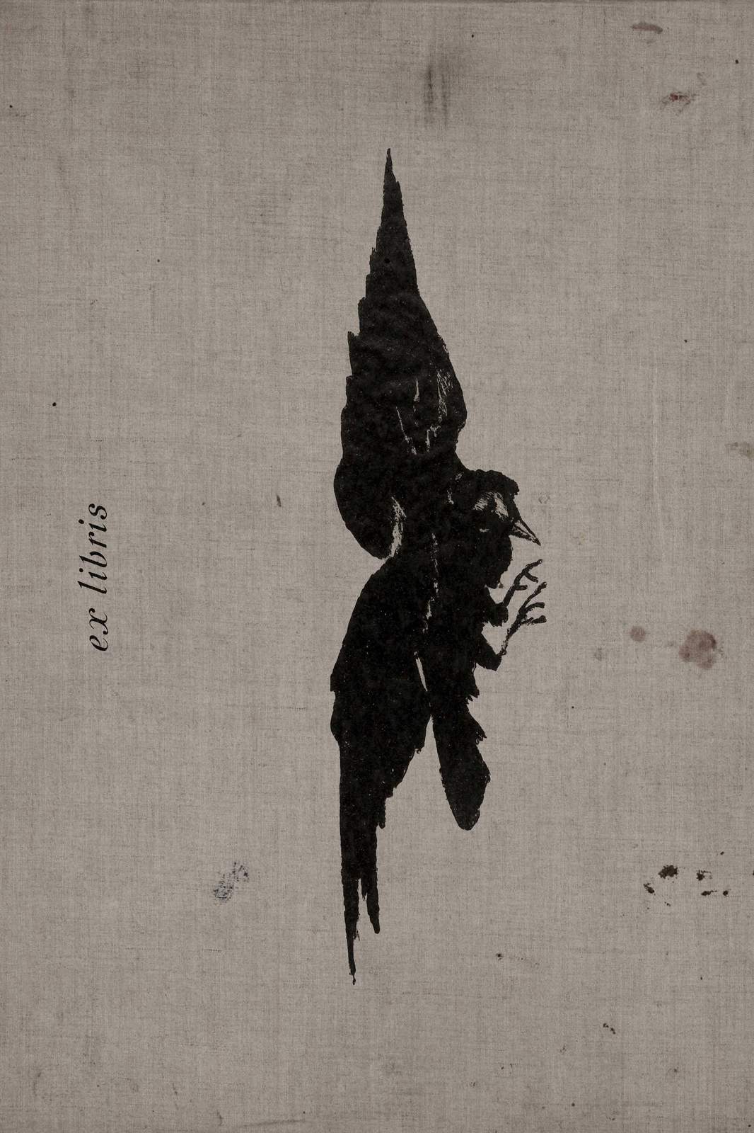 Mystic Black Bird 'Ex Libris' Wall Art