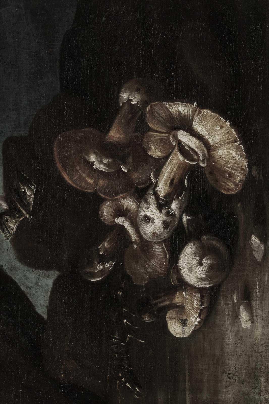 Vintage Mushroom Still Life Wall Art