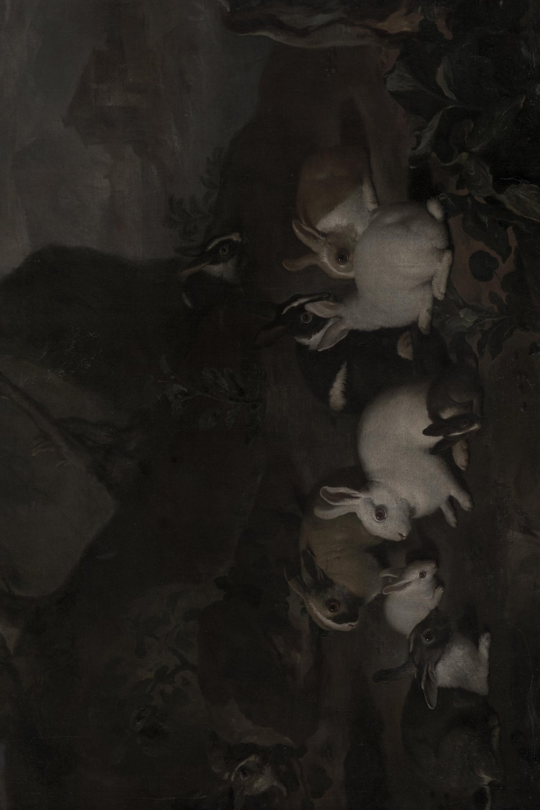 Enchanting Rabbits in Dark Woodland Wall Art