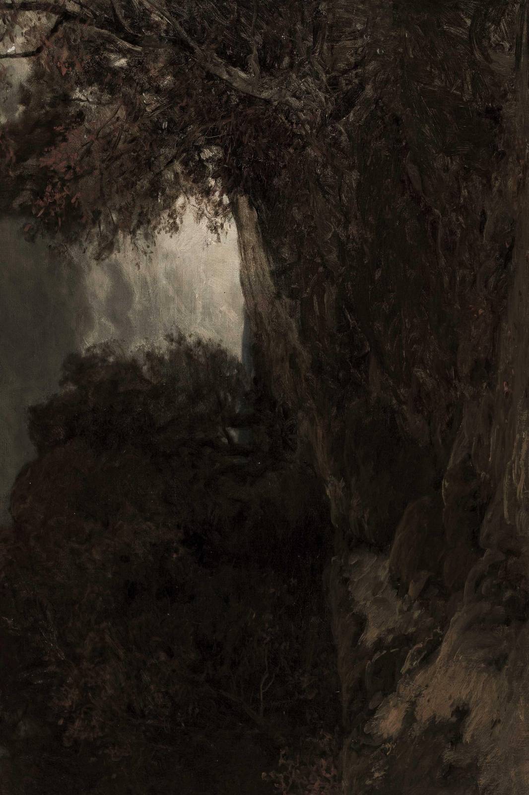 Dramatic Forest Landscape Wall Art
