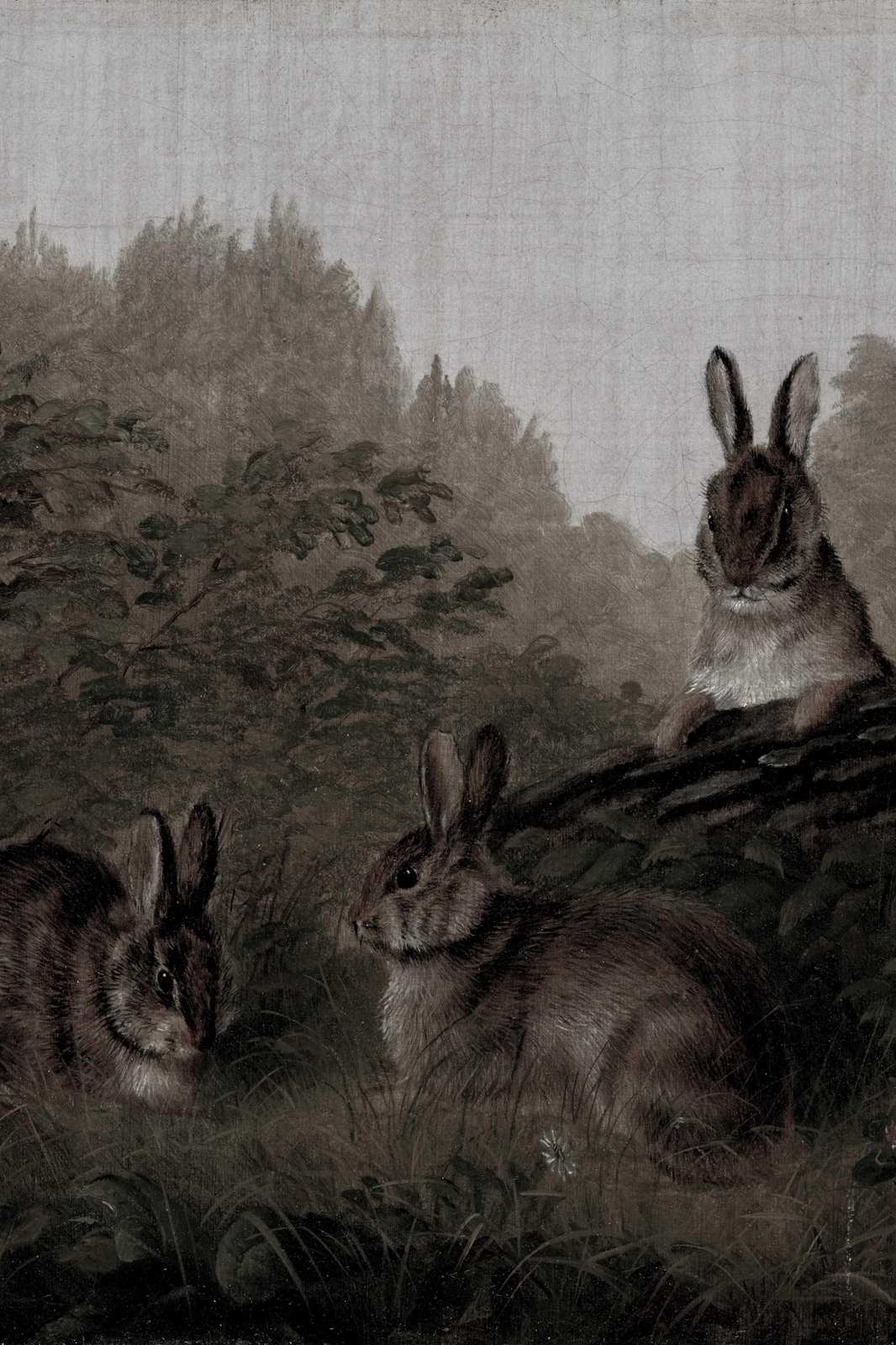 Enchanting Rabbit Woodland Scene Wall Art