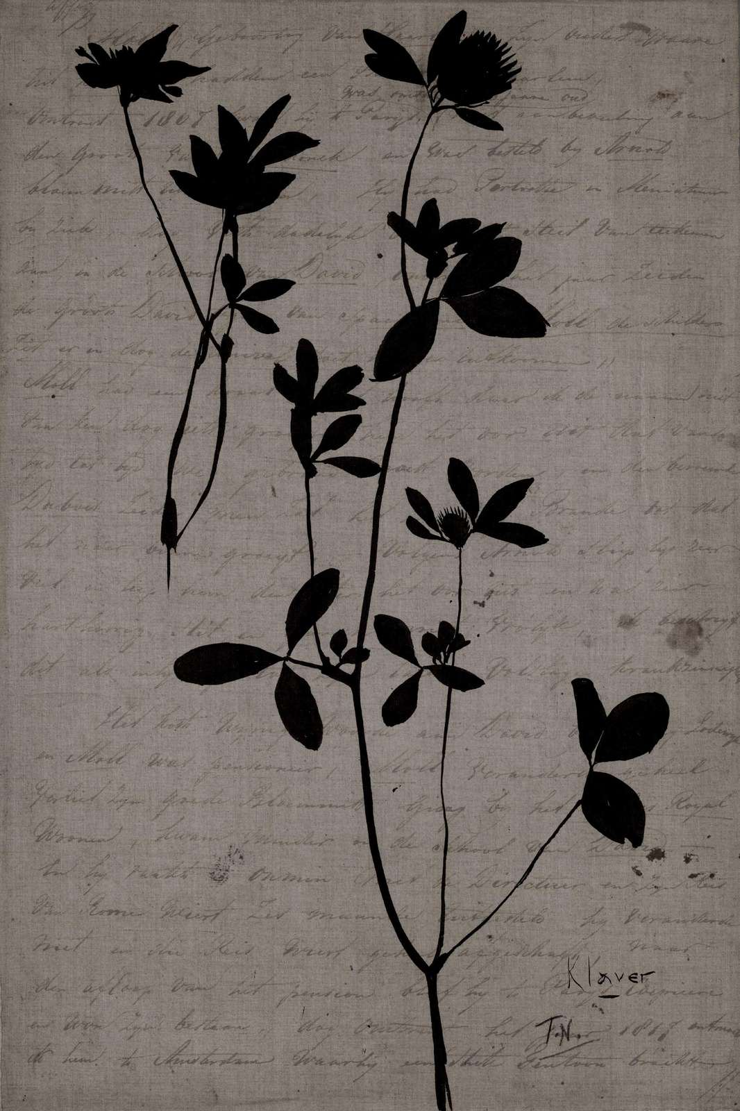 Vintage Botanical Silhouette Clover Wall Art