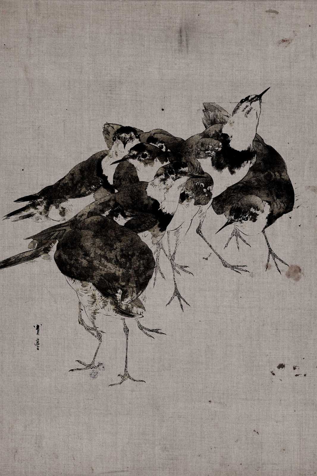 Vibrant Bird Flock Sketch Wall Art - Minimalist Nature Art