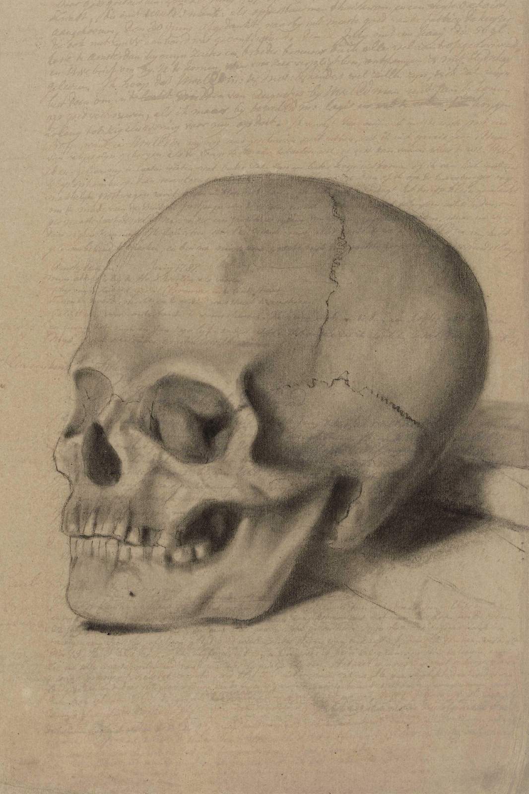 Vintage Skull Graphite Sketch Wall Art