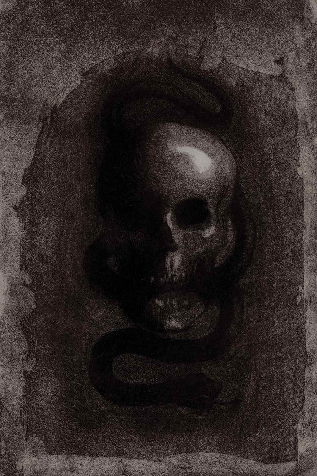 Mystic Skull & Serpent Dark Art Wall Art