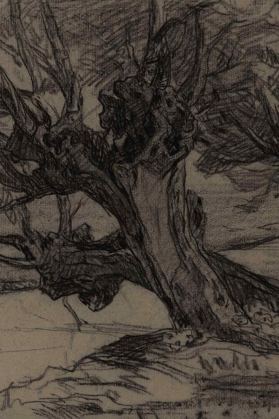 Textured Tree Sketch Wall Art Wall Art