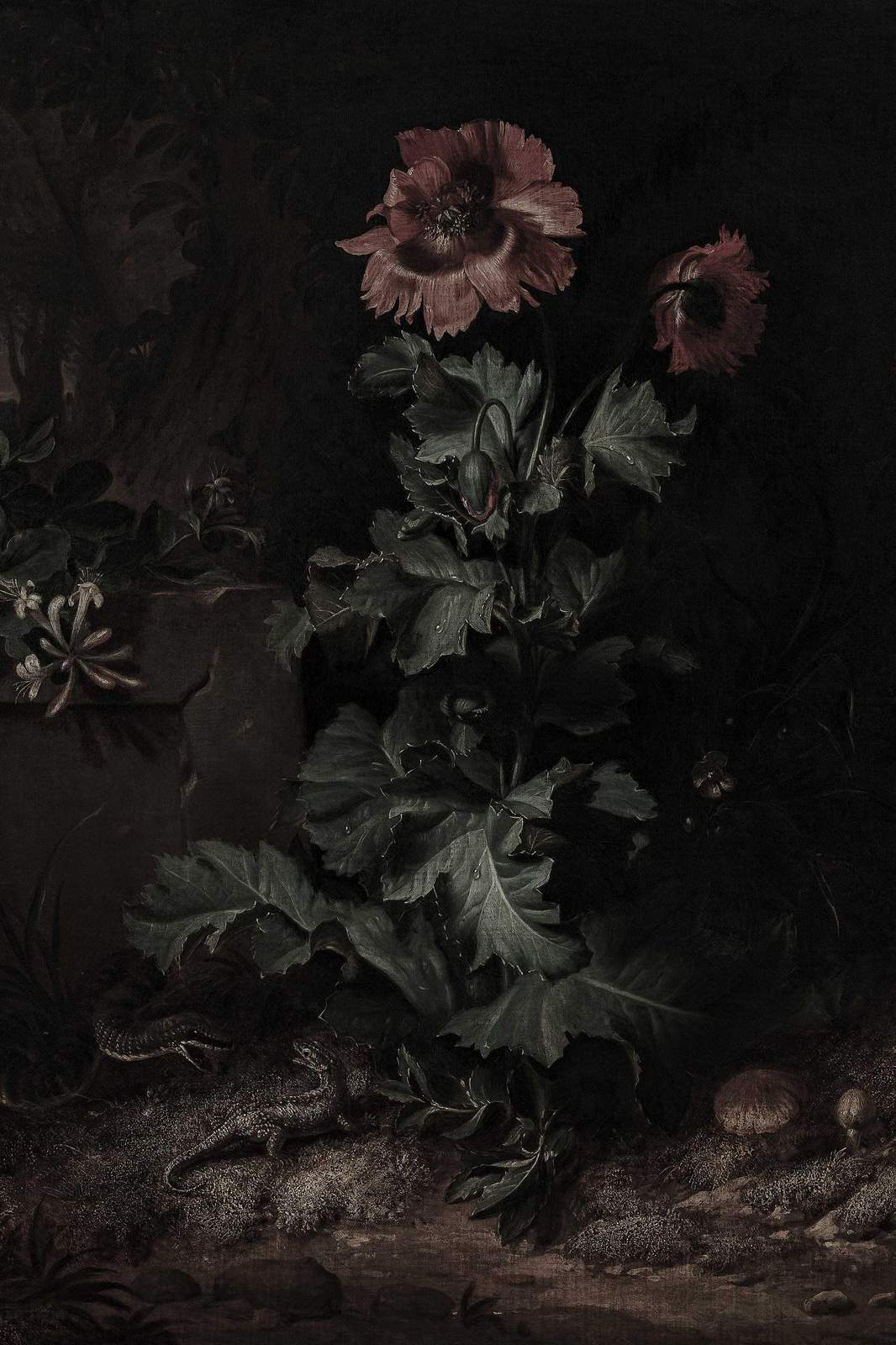 Dramatic Floral & Fauna Vintage Wall Art