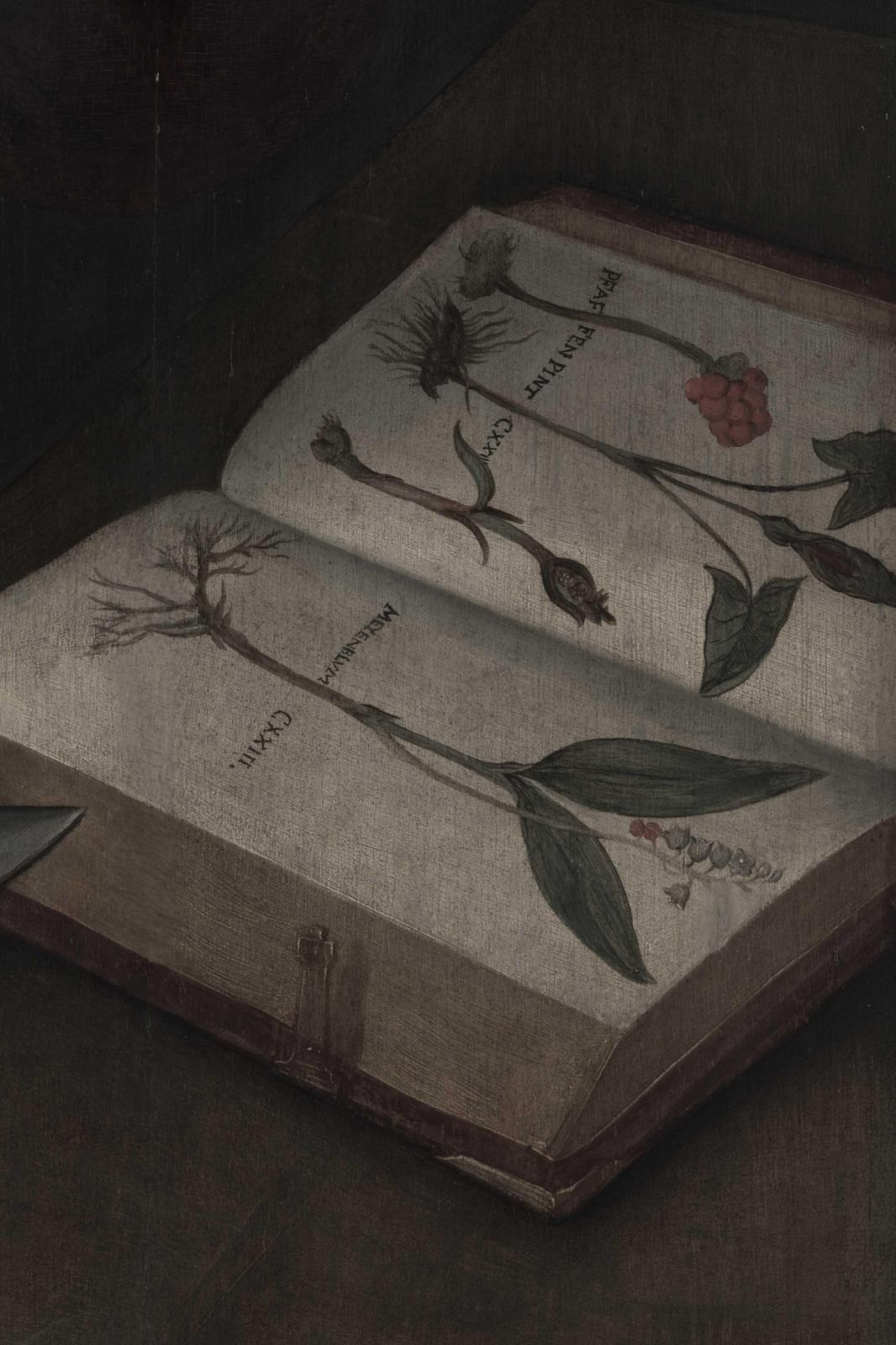 Vintage Botanical Study Open Book Wall Art