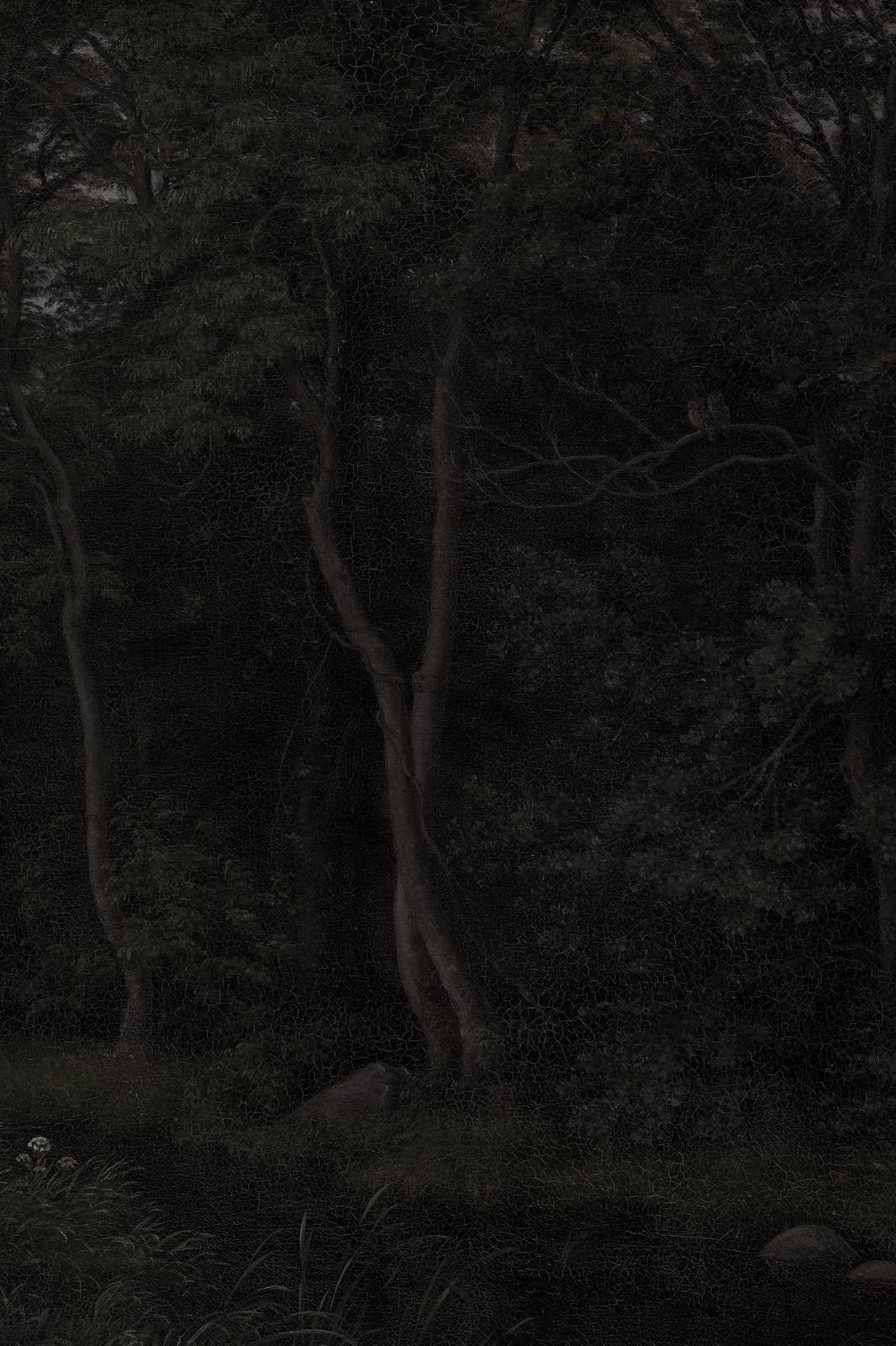 Enigmatic Forest Dark Academia Wall Art