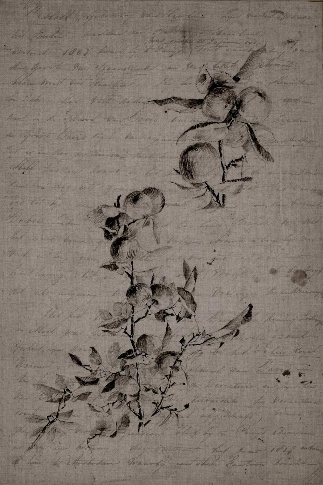 Vintage Botanical Sketch Apple Branch Wall Art