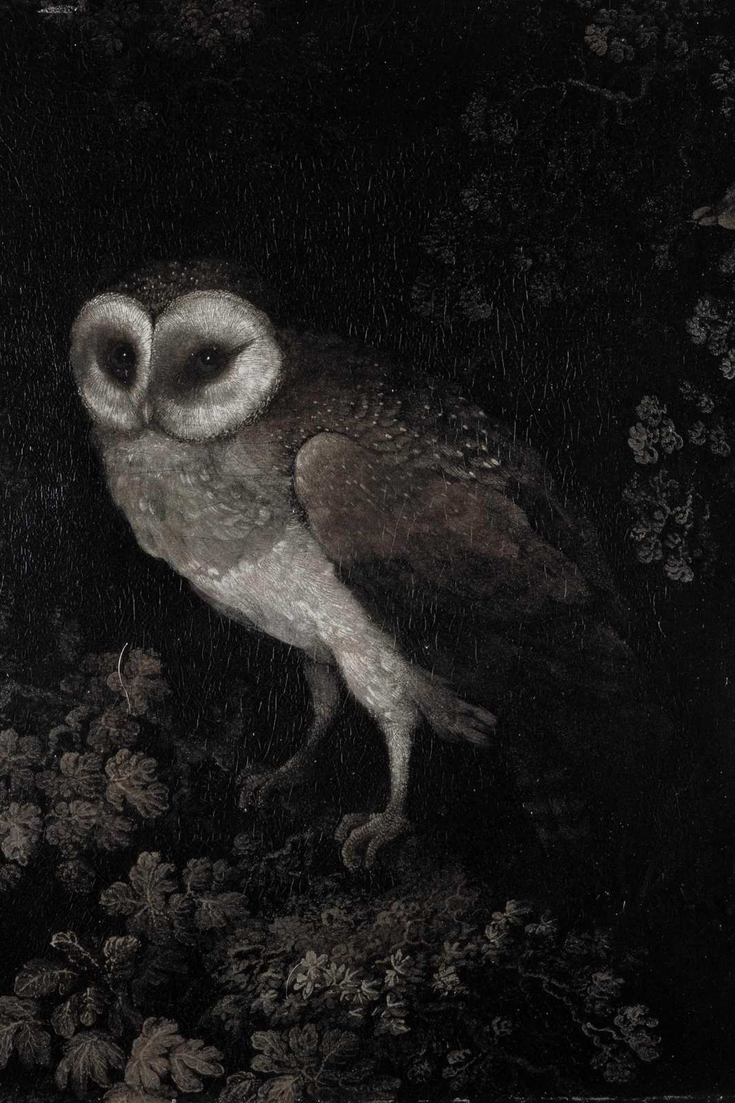Gothic Barn Owl Mystique Wall Art