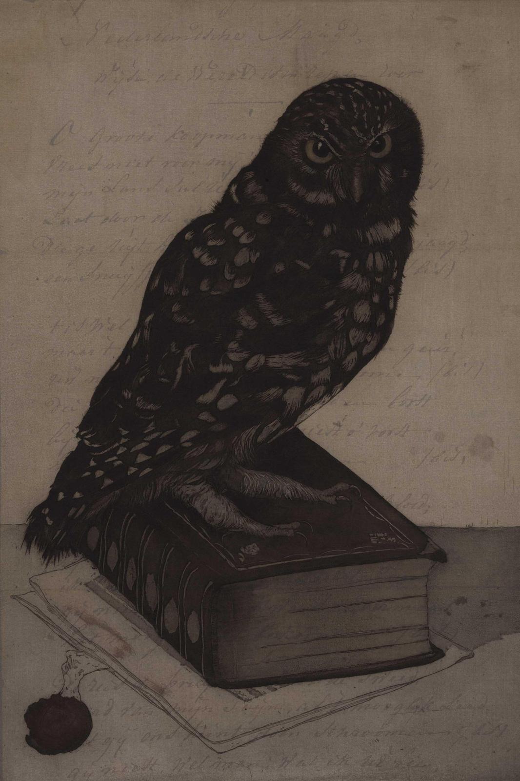 Wise Owl on Book Vintage Art Wall Art