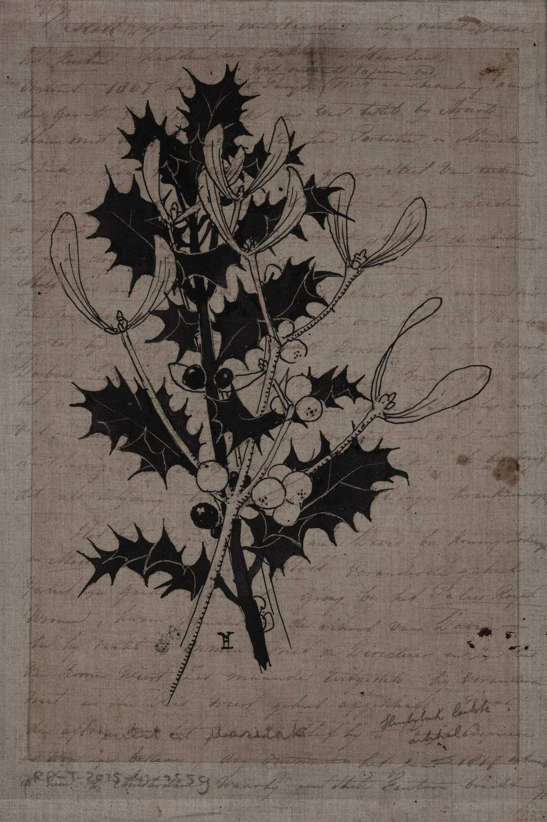 Vintage Holly & Mistletoe Botanical Wall Art