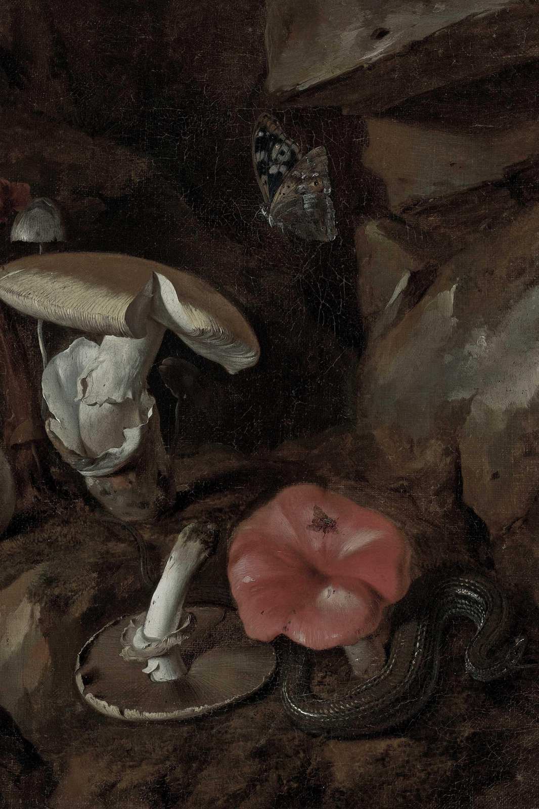 Mysterious Butterfly & Mushroom Still Life Wall Art