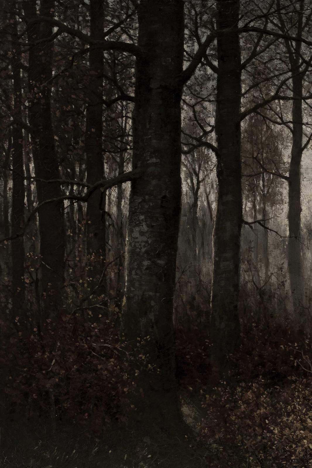 Mysterious Forest Landscape Wall Art