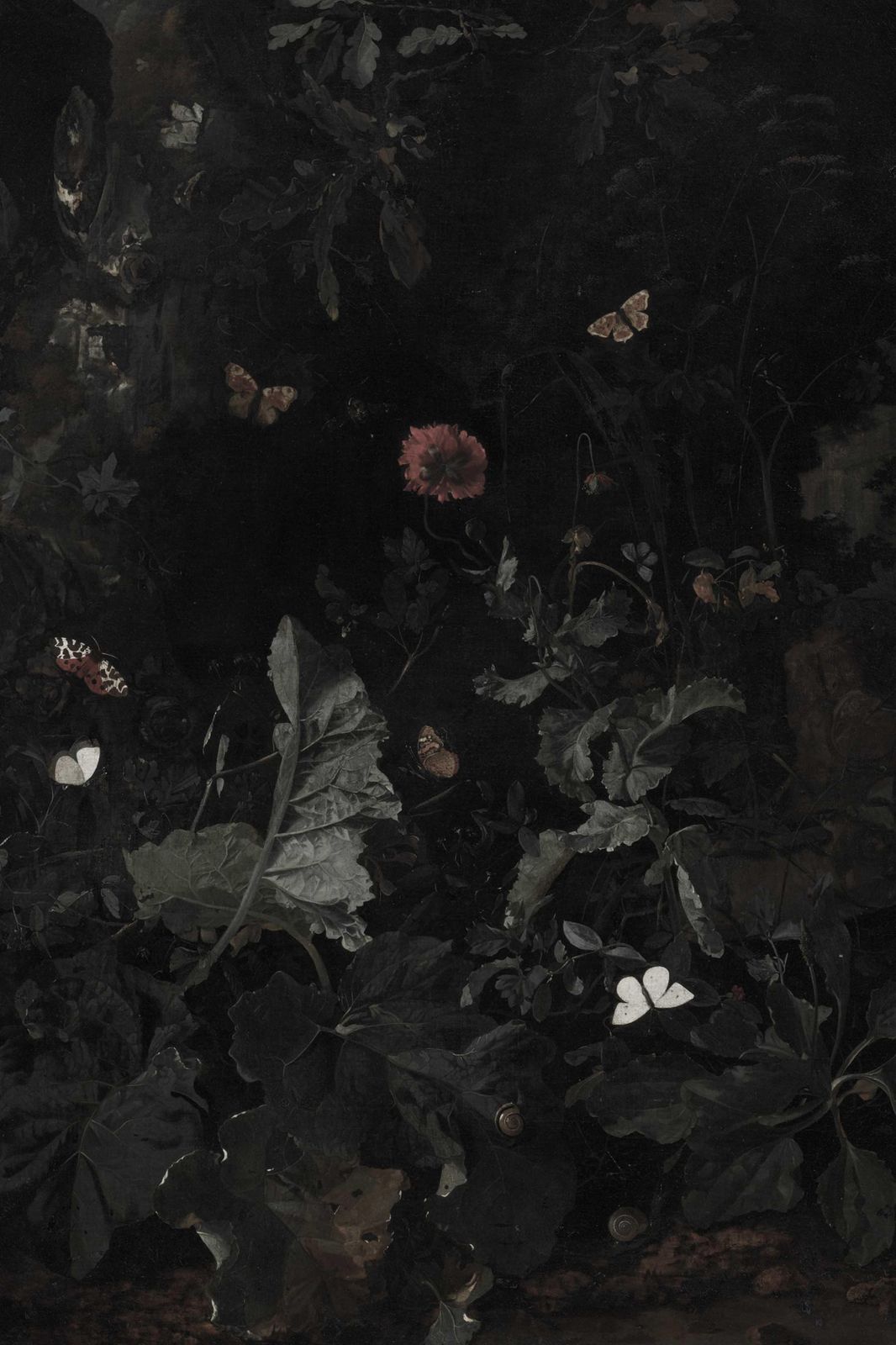 Dark Botanical Butterflies and Blooms Wall Art