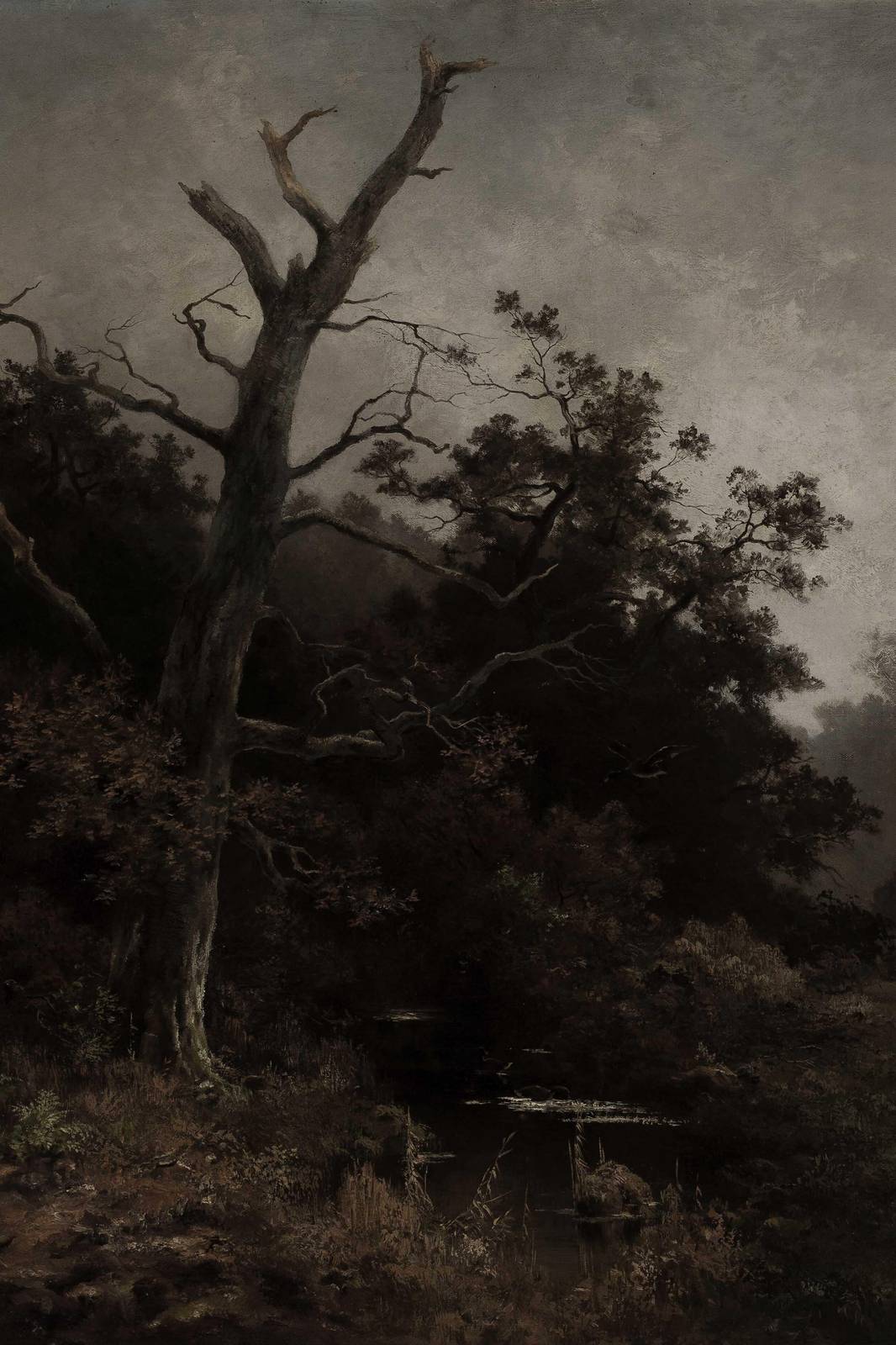 Moody Forest & Dead Tree Wall Art