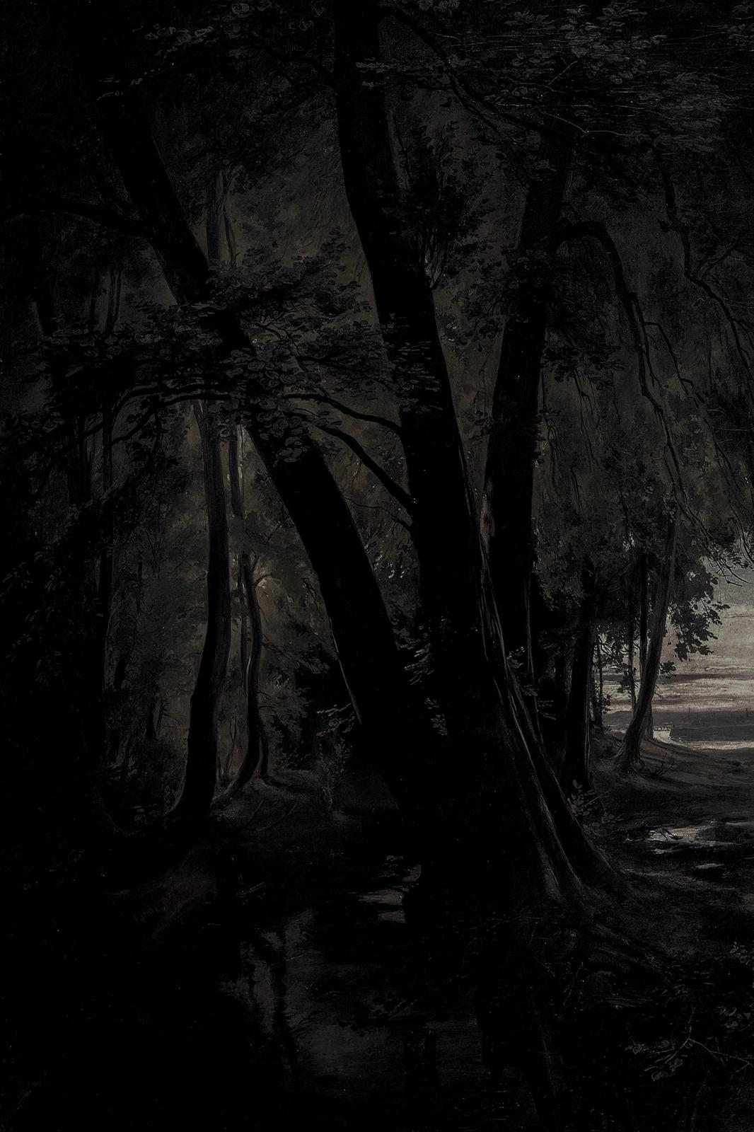 Enigmatic Dark Forest Path Wall Art