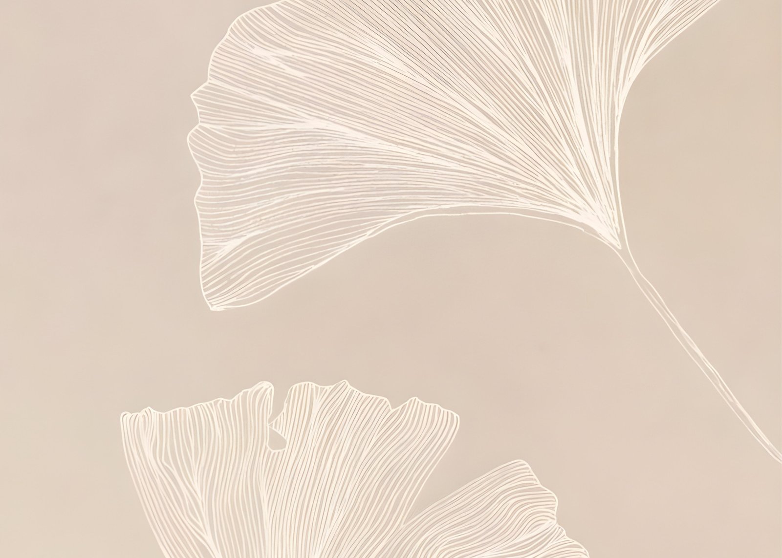 Elegant Ginkgo Leaves Botanical Line Art Wall Art
