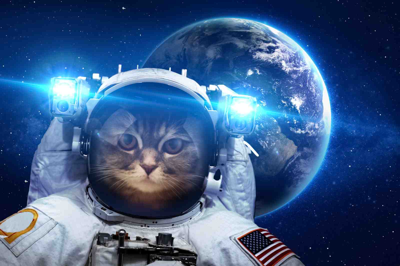 Astronaut Cat Space Adventure Wall Art