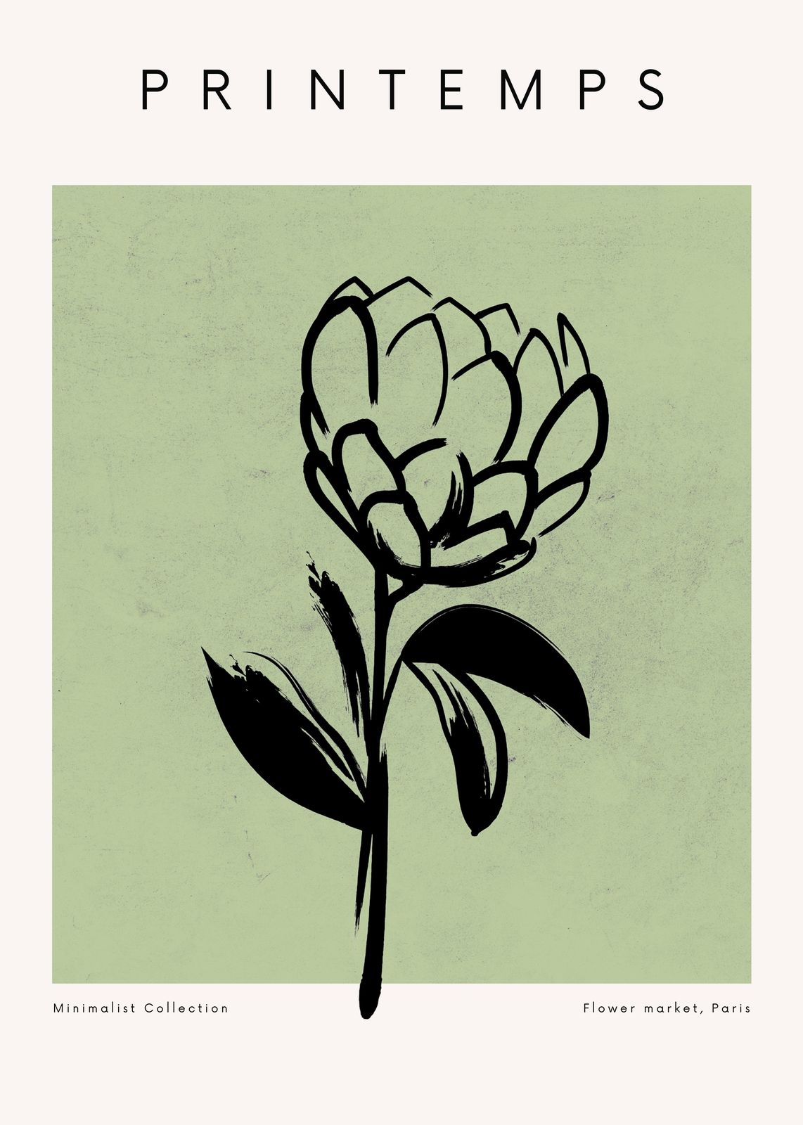 Minimalist Botanical Flower Paris Wall Art
