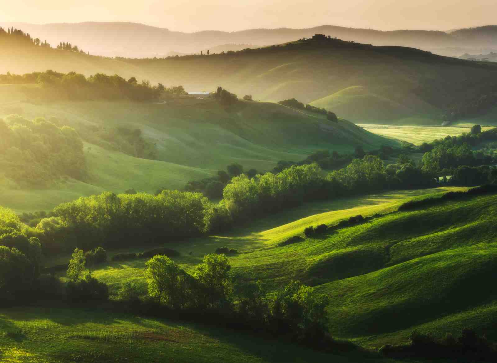 Tuscan Rolling Hills Sunrise Wall Art