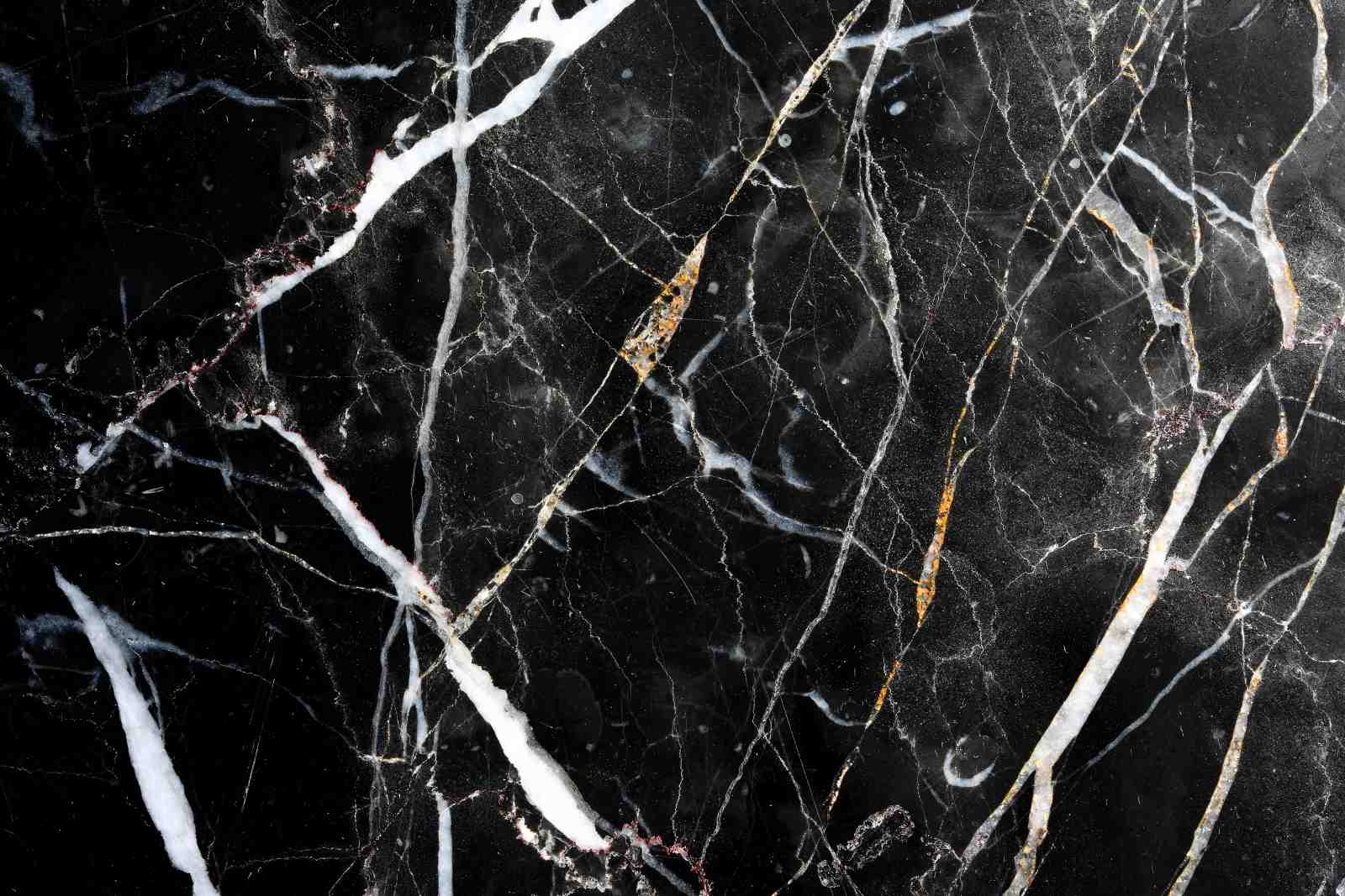 Elegant Black Marble Vein Gold Accents Wall Art