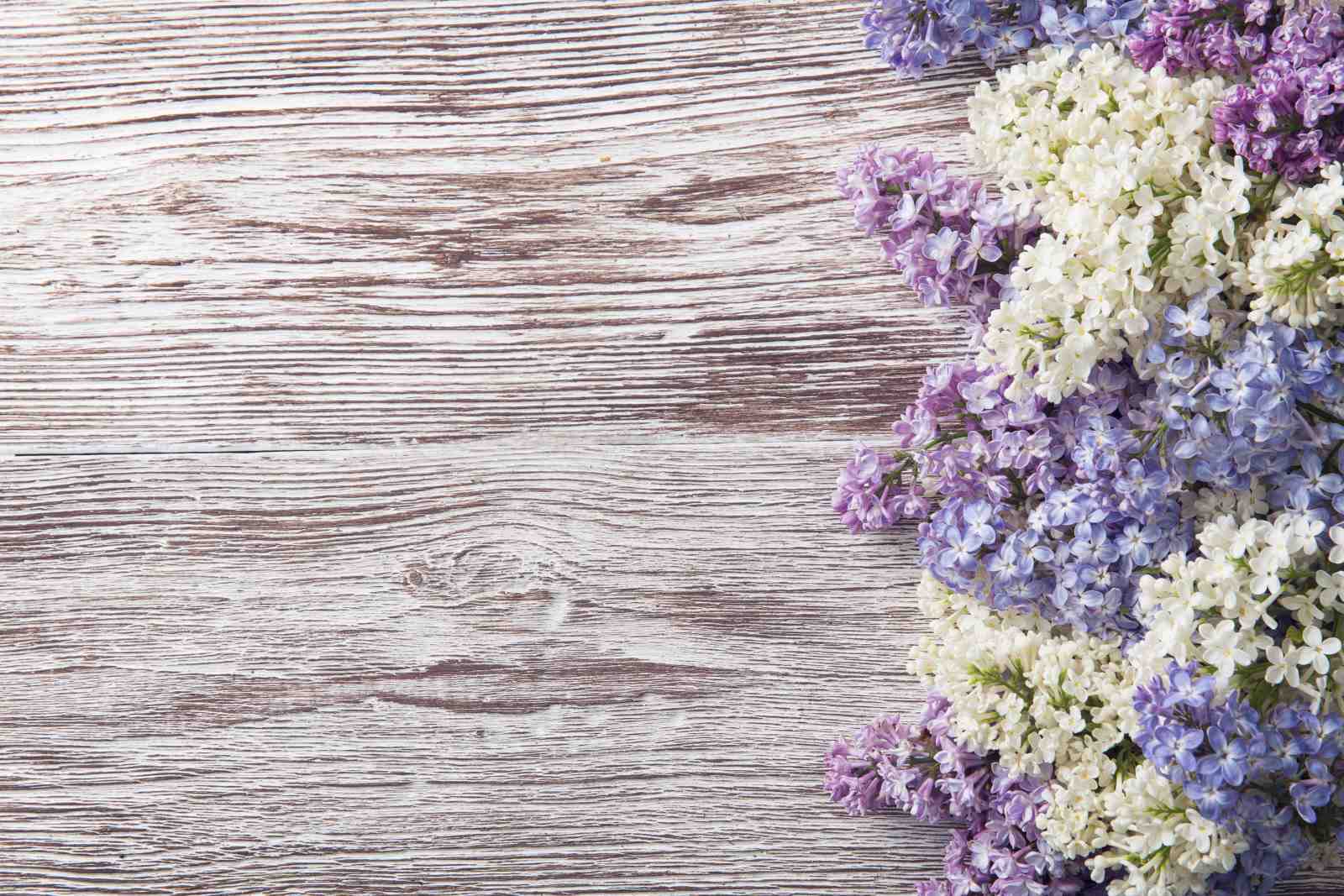 Lilac Blossom Rustic Wood Wall Art