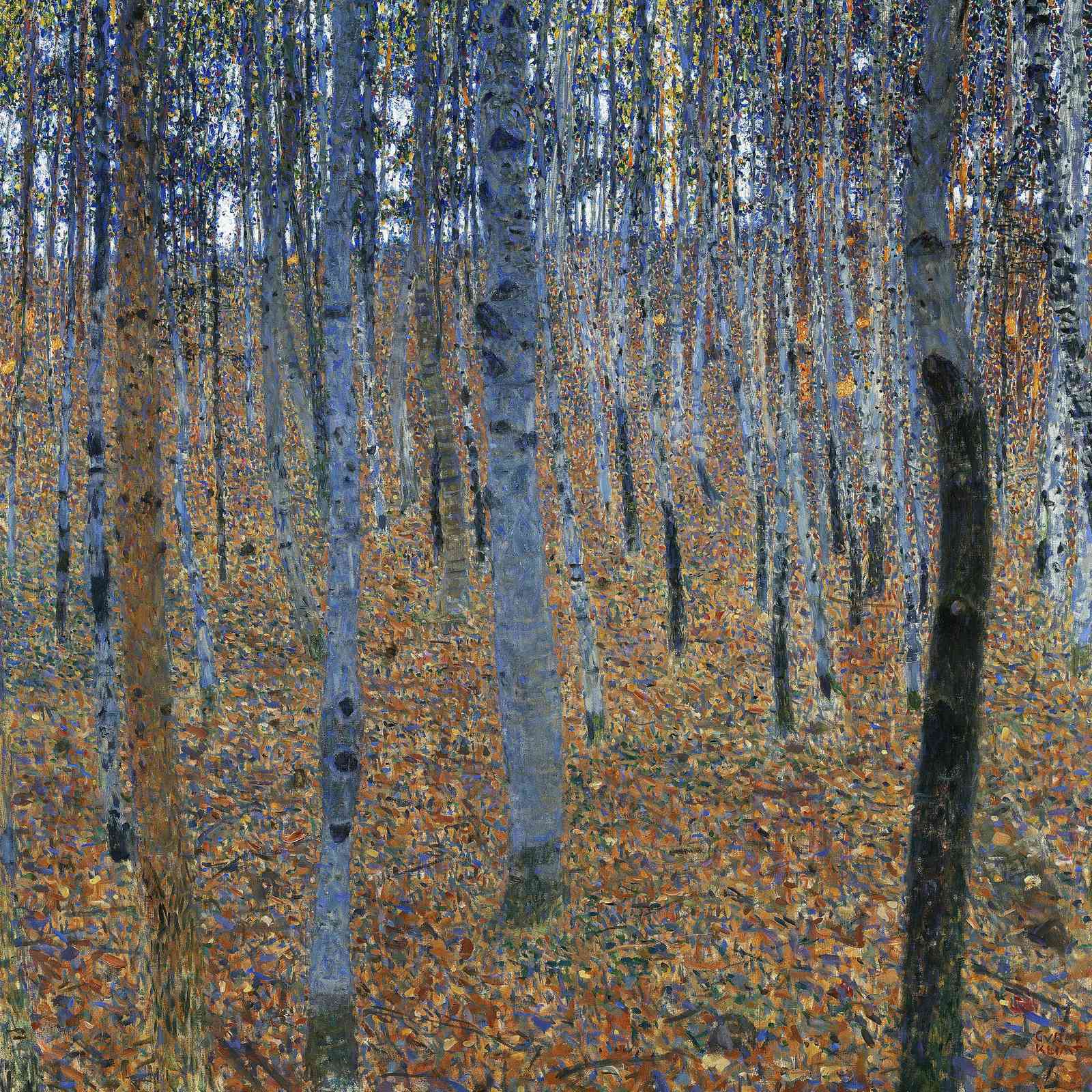 Birch Forest Autumn Landscape Wall Art