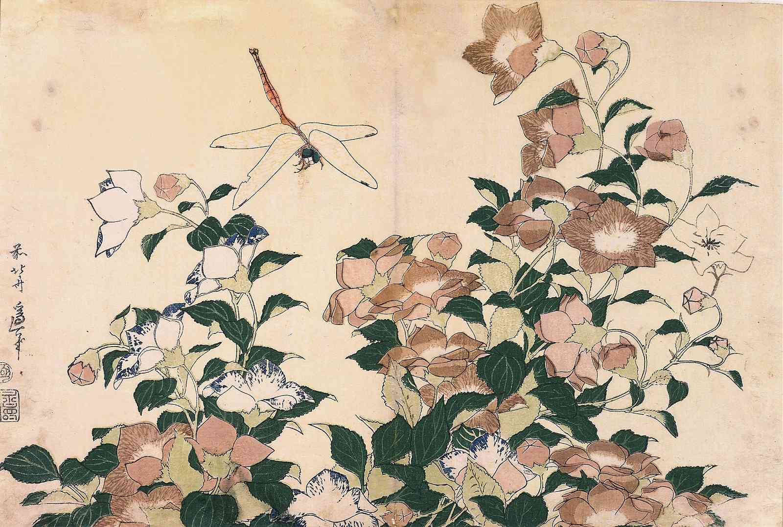 Japanese Camellias & Dragonfly Wall Art