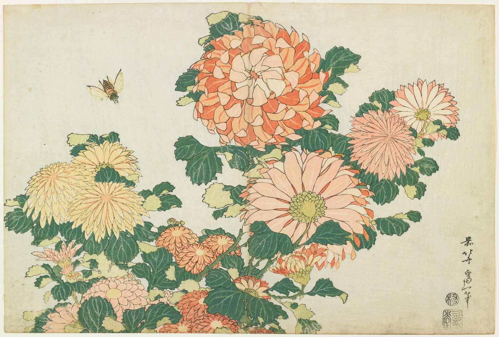 Vibrant Chrysanthemums & Bee Wall Art