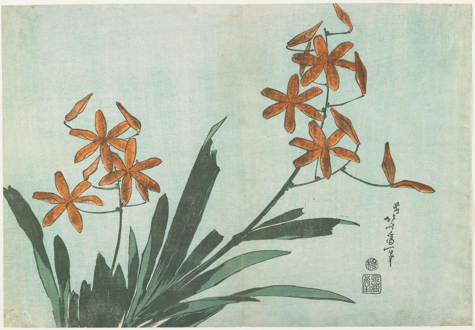 Japonica Orange Flower Serene Japanese Wall Art