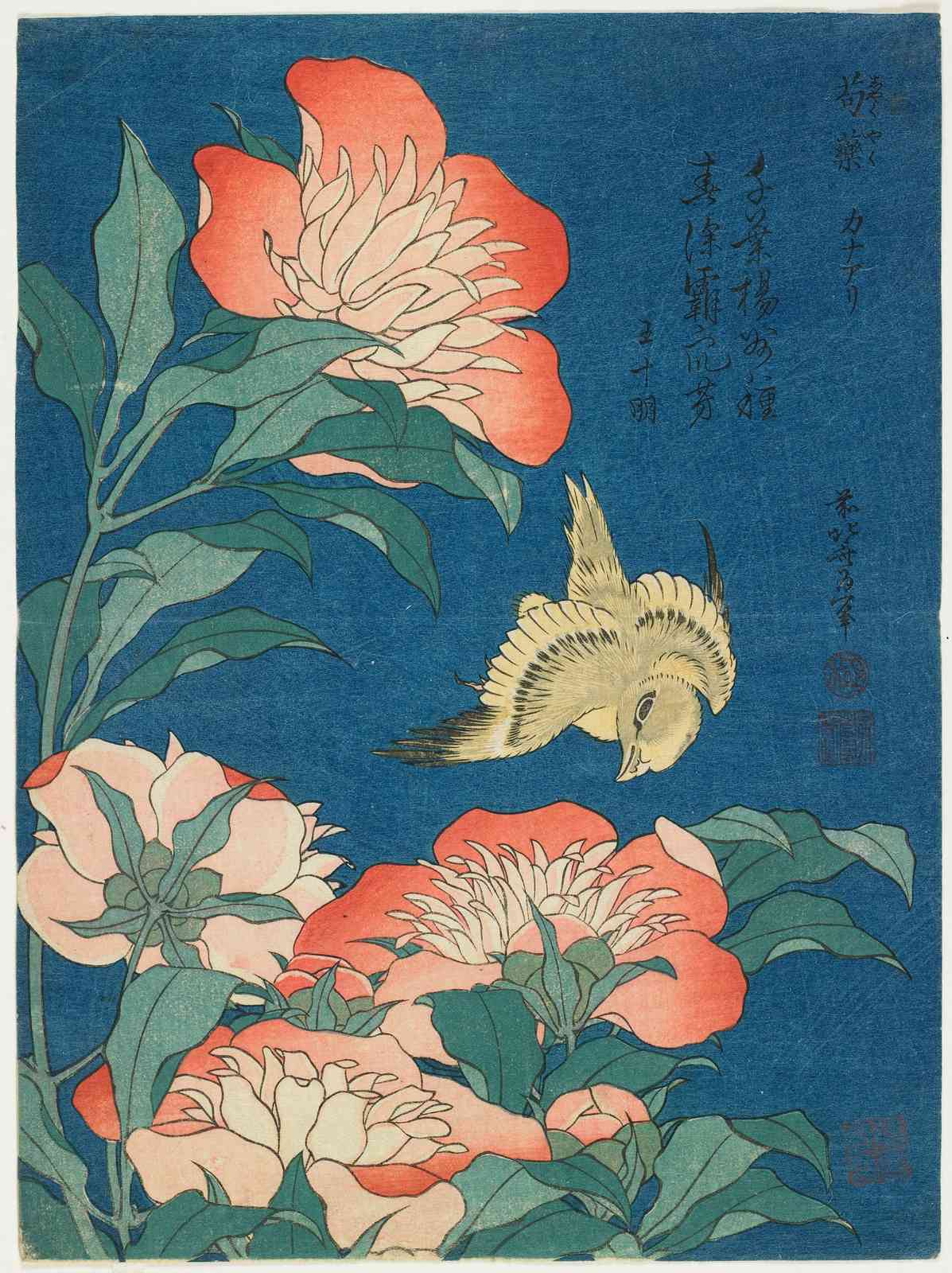 Japanese Peony & Bird Wall Art