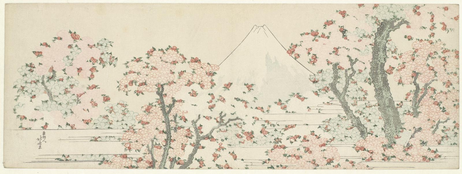 Mount Fuji Cherry Blossom Wall Art