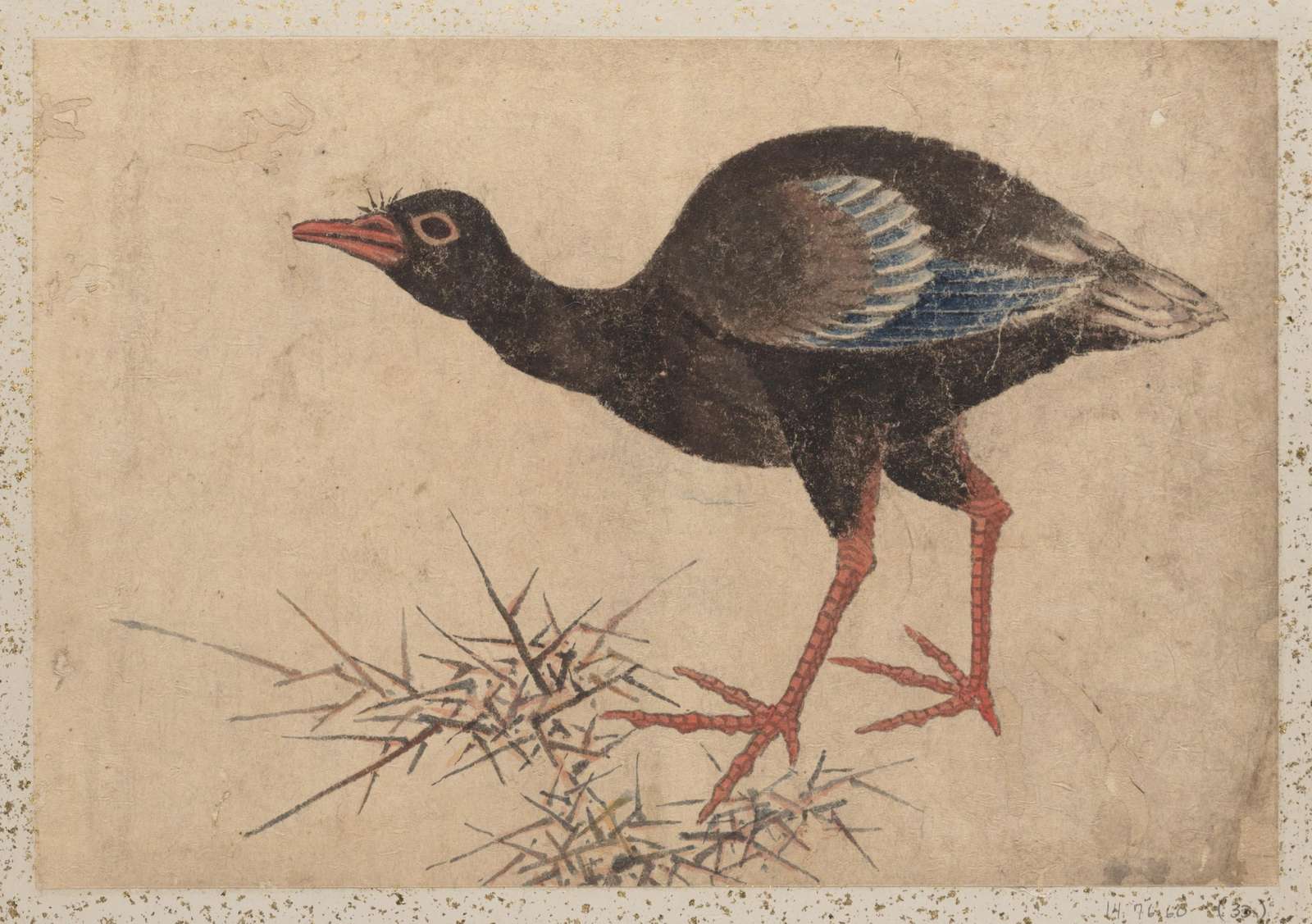 Antique Bird Art Print Wall Art