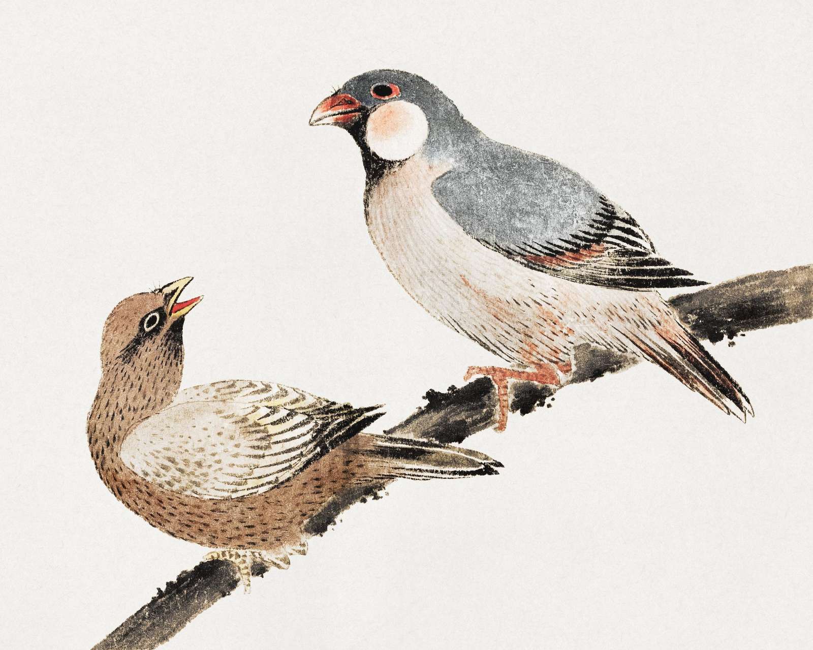 Elegant Finches on Branch Wall Art