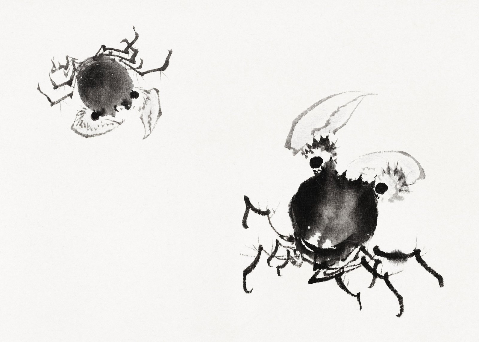 Zen Crab Ink Wash Art Wall Art