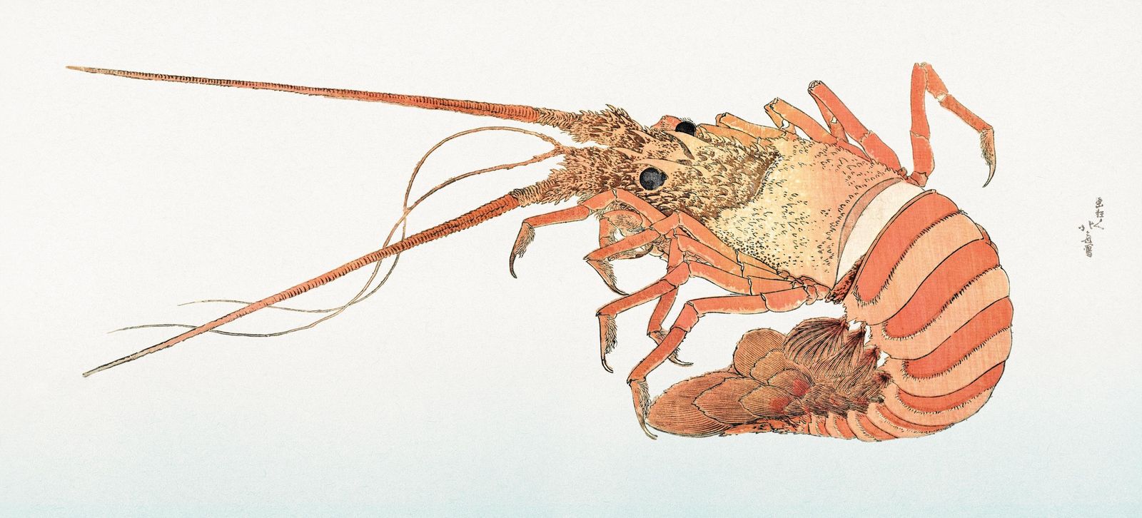 Vibrant Lobster Japanese Art Wall Art