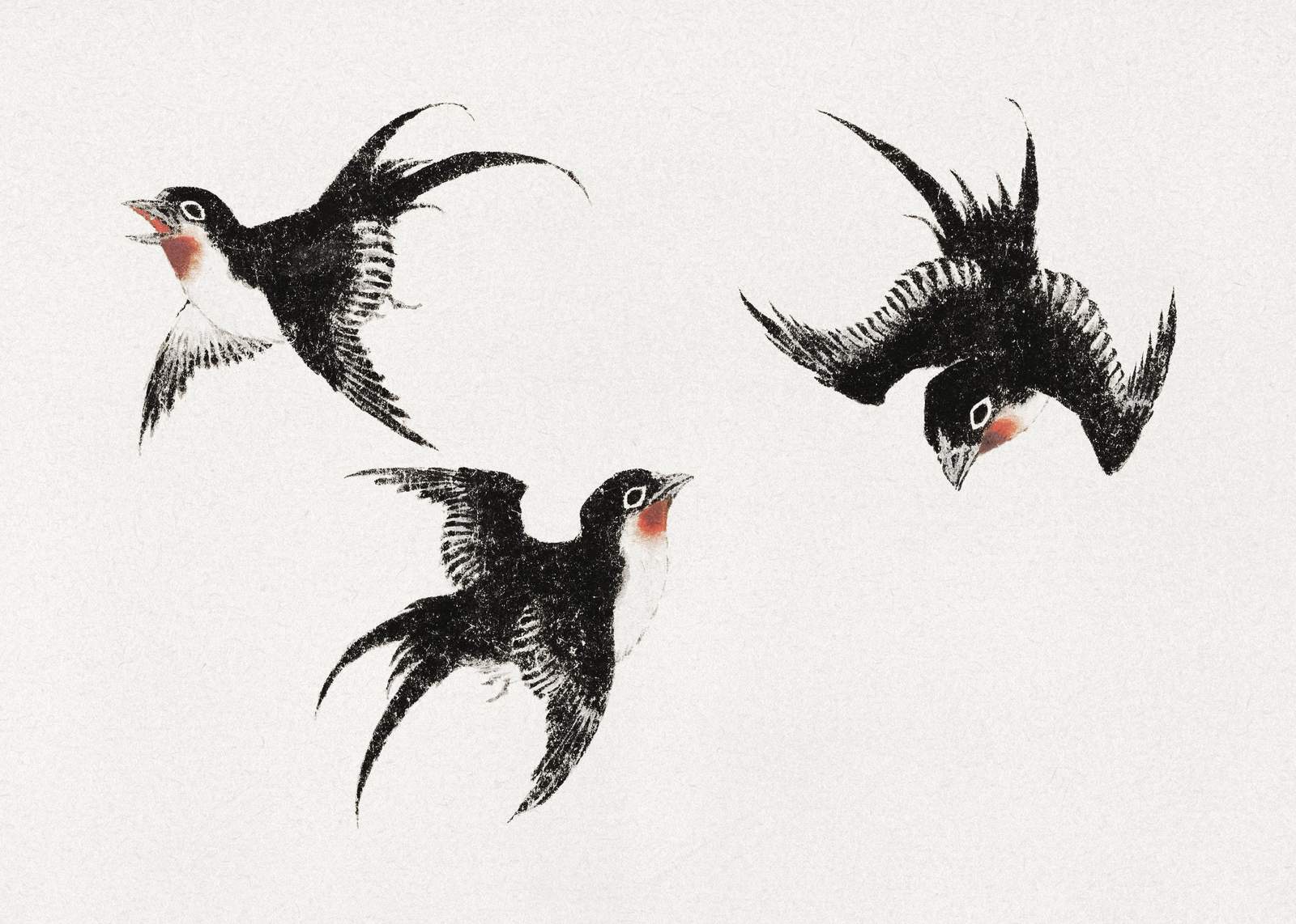 Elegant Swallows in Flight Wall Art