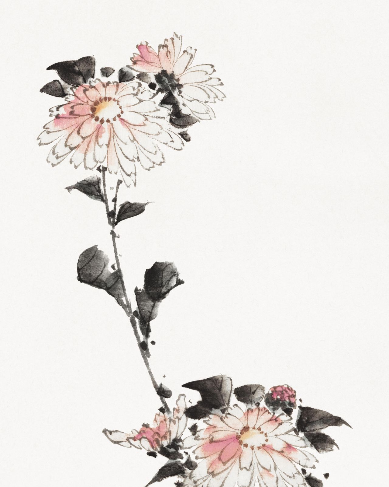 Elegant Pink Chrysanthemum Watercolor Wall Art