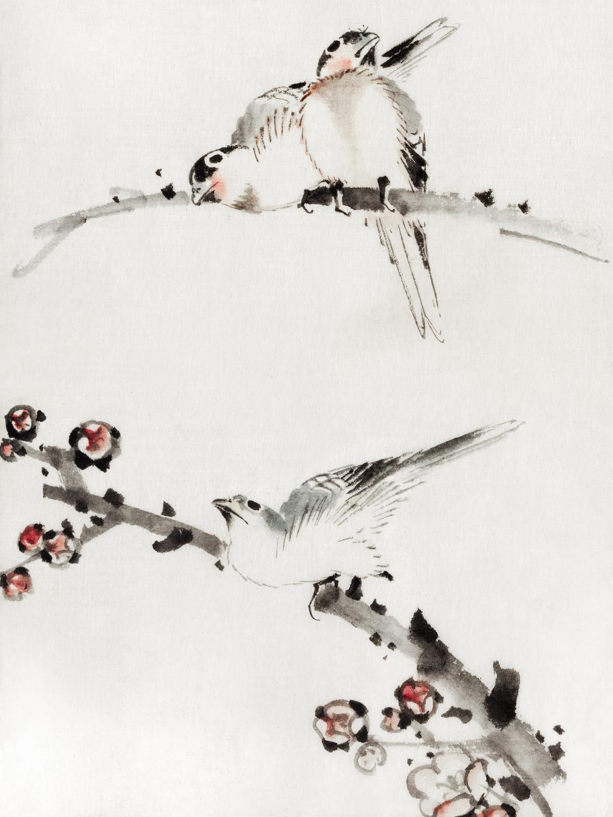 Serene Birds & Blossoms Fine Art Wall Art